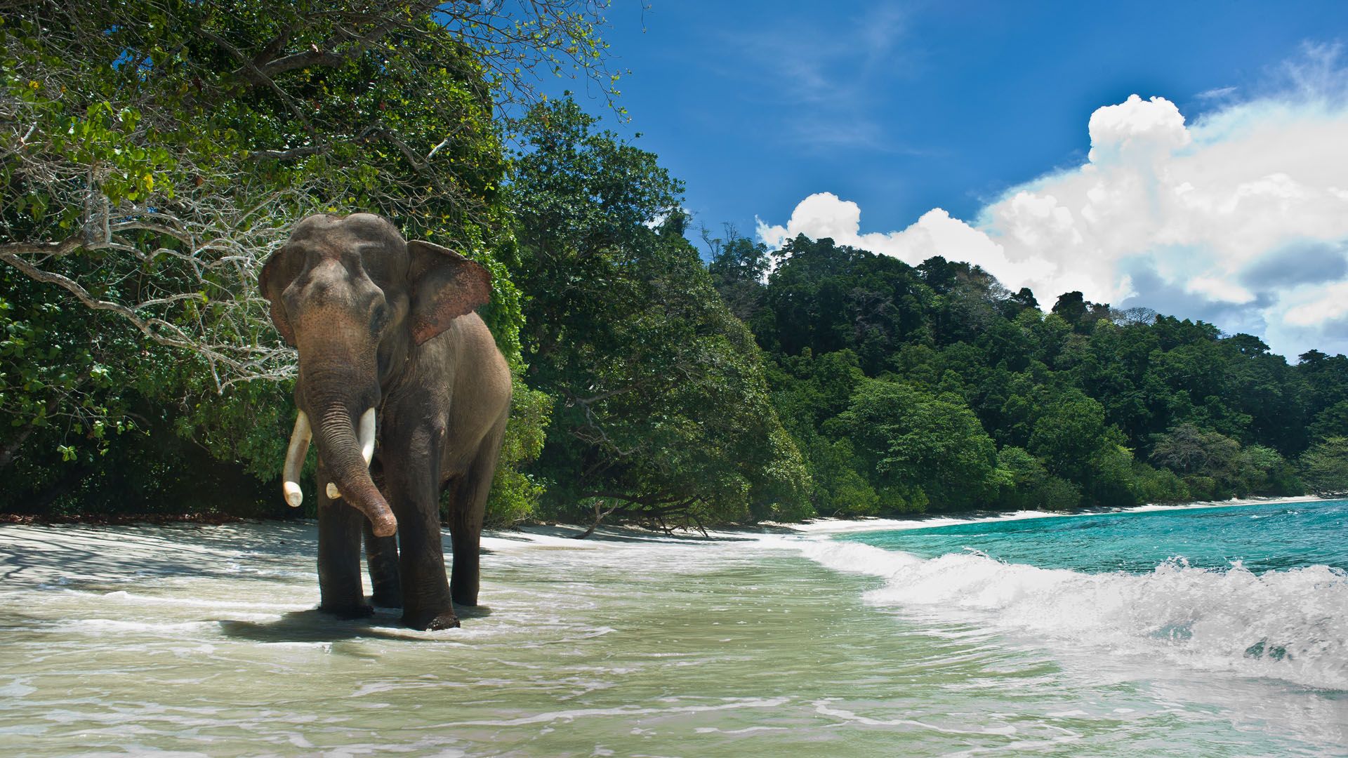Delightful Andaman